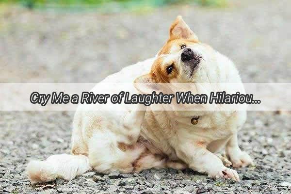 Cry Me a River of Laughter When Hilarious Huskies Feel the Pain of Words